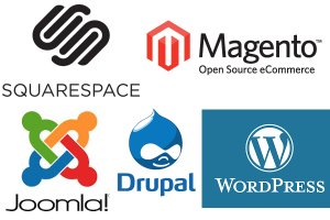 How other content management systems (CMS) are compared to WordPress